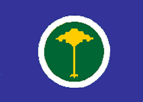 Bandeira de S&atilde;o Carlos