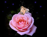 Dia Internacional da Mulher